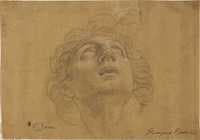 Study of a Woman Man's Head