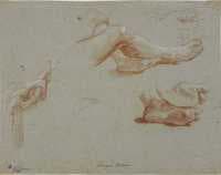 Study of Legs