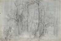 View of a Wood