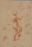 Study of a Child