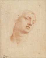 Head of a Woman