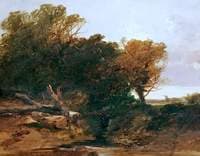 Grove Scene