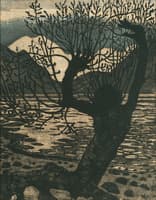 Spring Night and WIllow