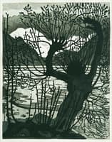 Spring Night and Willow