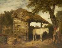 Rustic Shed