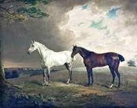 A Grey and a Bay Hunter in a Landscape