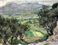 Summer Landscape