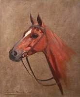 Study of a Horse's Head