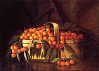A Basket of Cherries