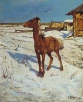 A Foal