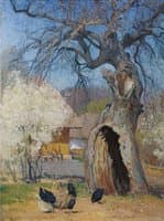 An Old Tree