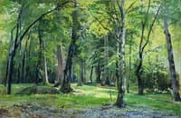 Bialowieza Forest