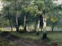Birch Grove