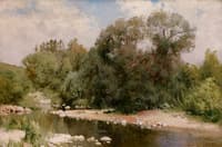 River on a Sunny Day