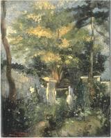 Garden in the Summer