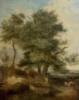 Trees by a Brook
