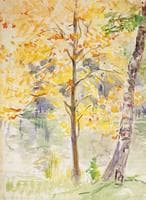 Fall Colors in the Bois de Boulogne