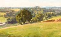A Summer Afternoon, the Fields, Bengeo, Hertfordshire