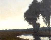 Evening in the Meads