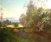 June Evening in the Meadows under Ware Park