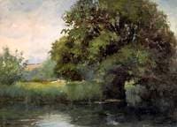 Old Chestnut Tree, Molewood Meadow, Hertfordshire