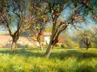 View of a Meadow with Trees in Blossom