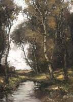 Ayrshire Woodland Scene