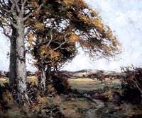 Wind-Tossed