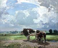 A Summer Day