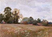 Poppy Field
