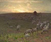 Sheepfold