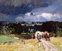 The Raincloud