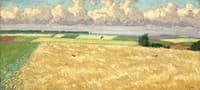 Corn Field
