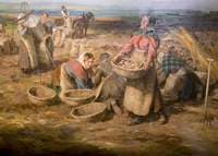 Waling Potatoes
