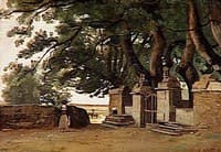 Large Trees and Wall in Brittany