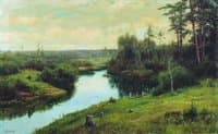 Forest Stream
