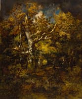 Forest of Fontainbleau, Autumn