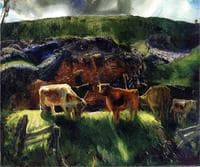 Cattle and Pig Pen