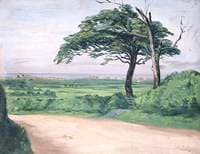 Summer Coastal Landscape
