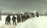 Les corbeaux dans la neige