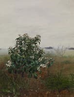 The Flowering Shrub