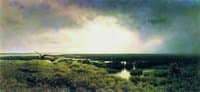 The Swamp