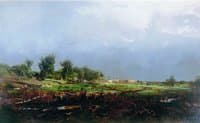 Storm in the Field