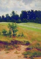 In the Field