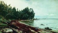An Inlet