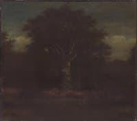 Forest of Compiègne