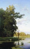 Lake in Gatchina Park