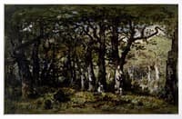 Edge of the Forest