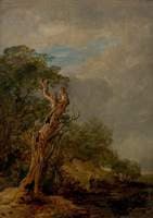 The Withered Tree