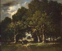 Road in the Wood